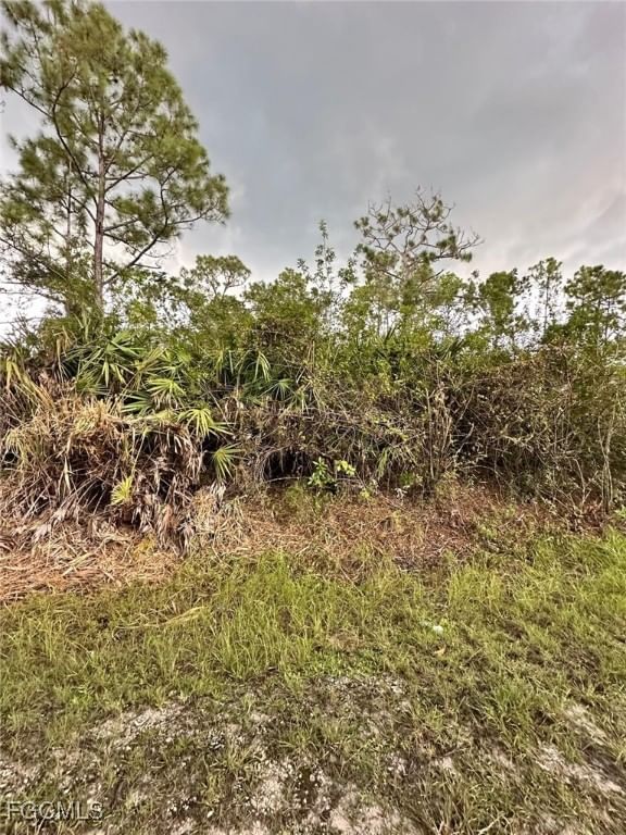 1504 Cleveland Avenue, Lehigh Acres, FL 33972 photo 2