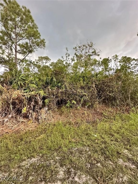 1504 Cleveland Avenue, Lehigh Acres, FL 33972 photo 3
