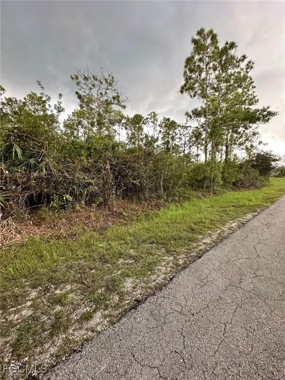 1504 Cleveland Avenue, Lehigh Acres, FL 33972 photo 5