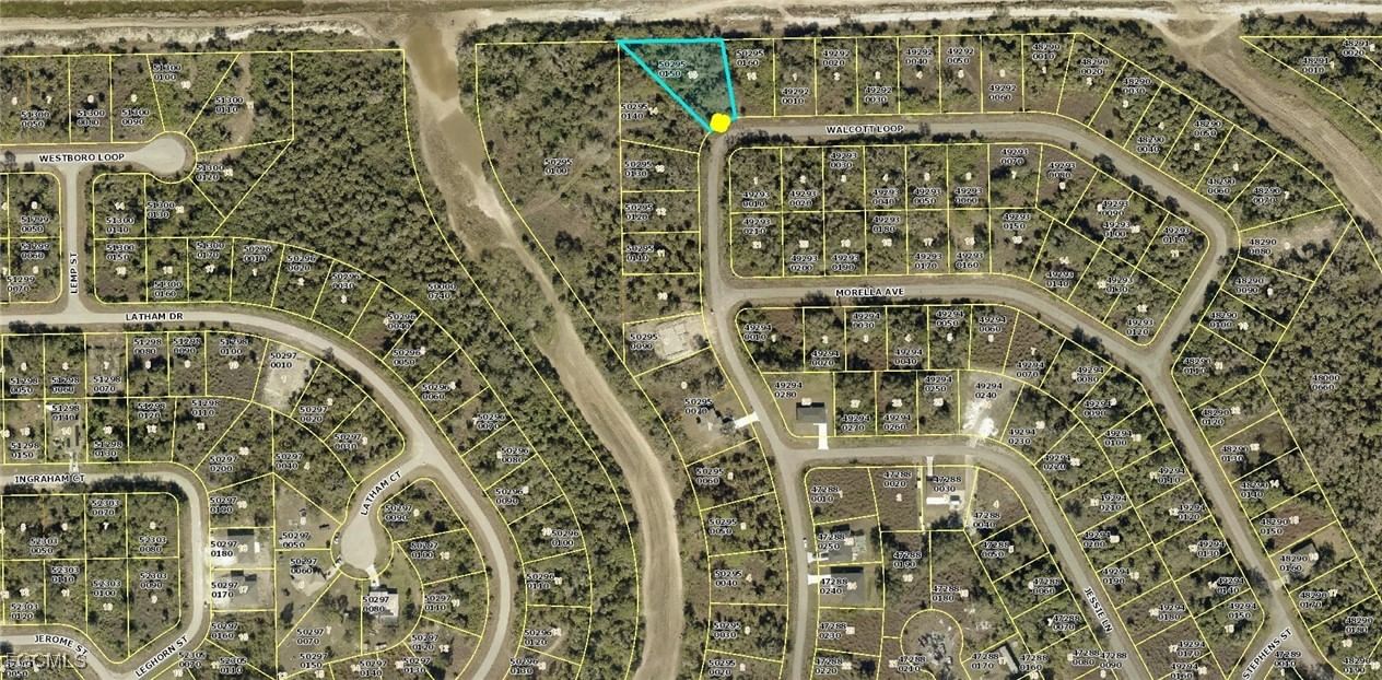 1963 Walcott Loop, Lehigh Acres, FL 33972 photo 2