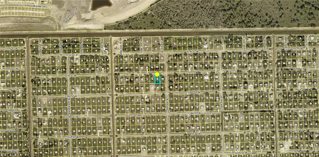 2803 74th Street W, Lehigh Acres, FL 33971 photo 3