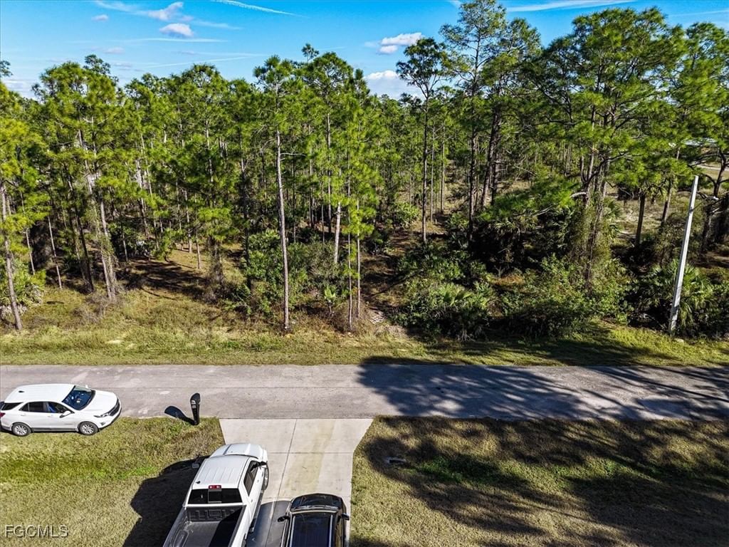 1202 Hamilton Avenue, Lehigh Acres, FL 33972 photo 2
