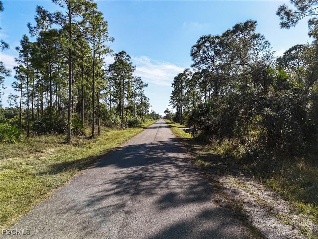 1202 Hamilton Avenue, Lehigh Acres, FL 33972 photo 3