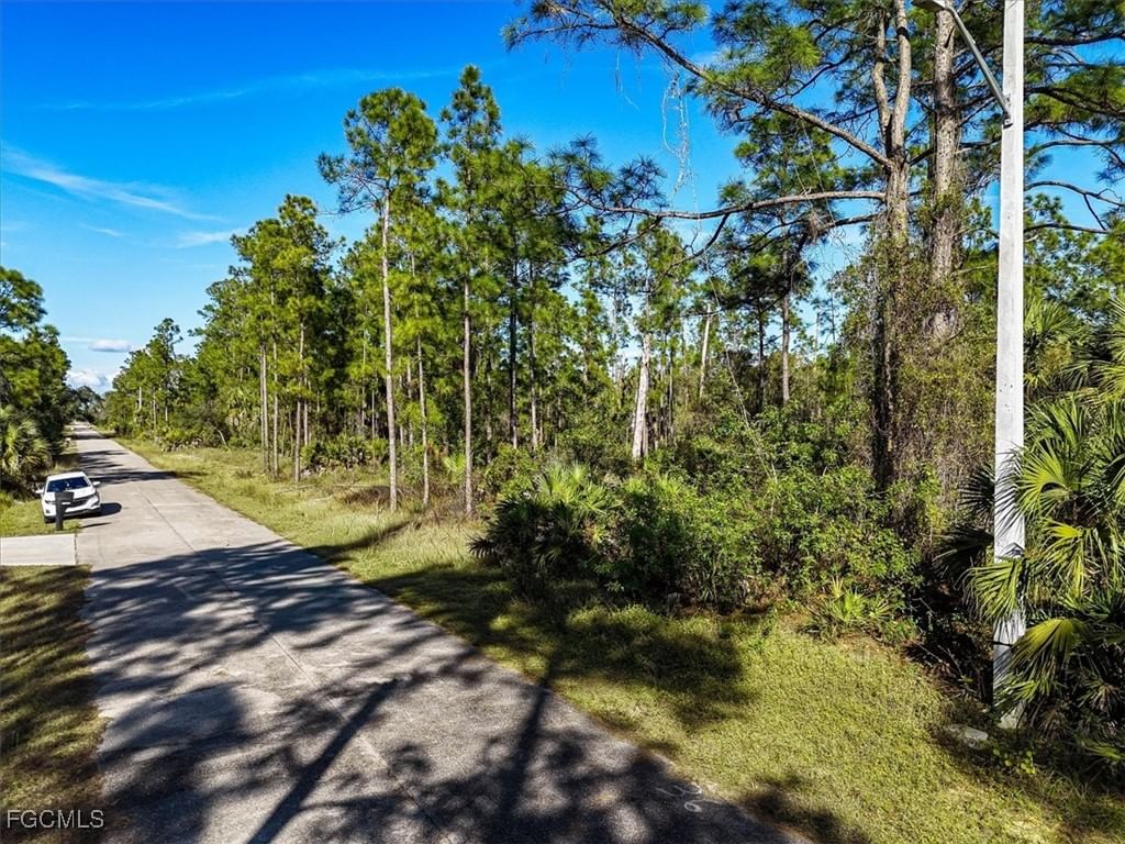 1202 Hamilton Avenue, Lehigh Acres, FL 33972 photo 4