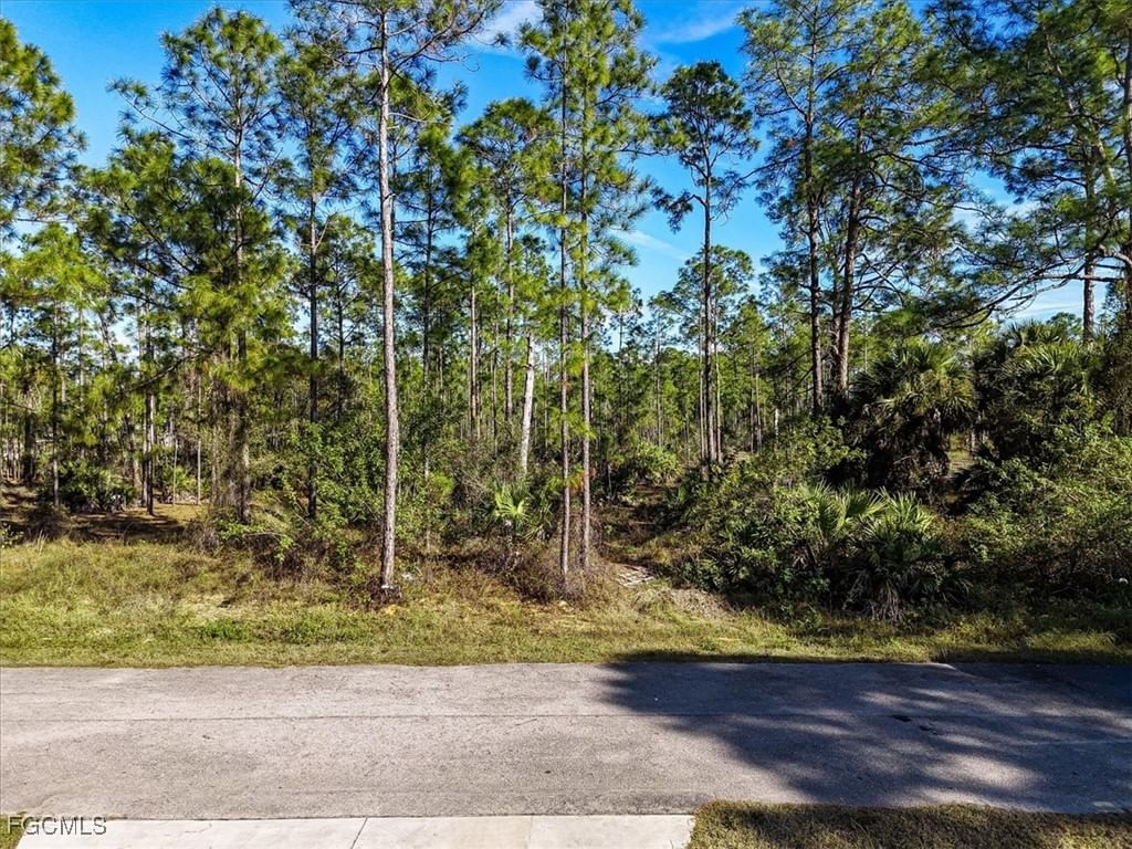 1202 Hamilton Avenue, Lehigh Acres, FL 33972 photo 5