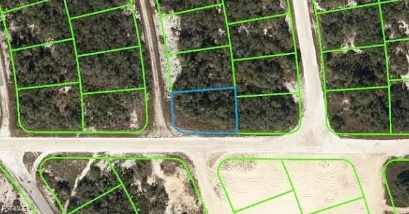 446 Fawnwood Avenue, Lake Placid, FL 33852 photo 2