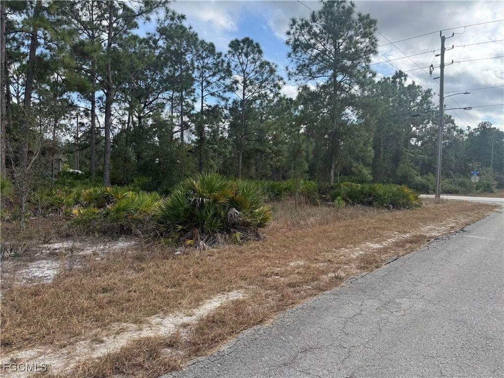706 W 17th Street, Lehigh Acres, FL 33972 photo 4