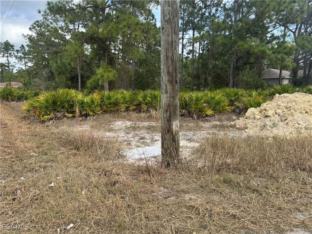 706 W 17th Street, Lehigh Acres, FL 33972 photo 5