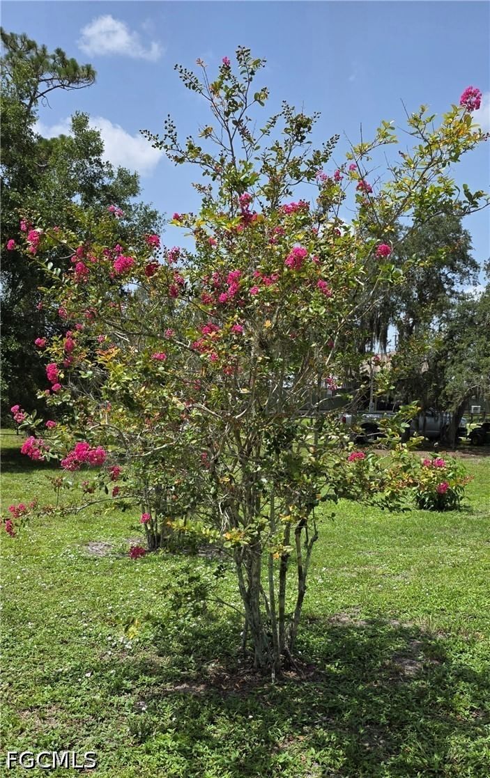 1627 Sunset Trail, Labelle, FL 33935 photo 3