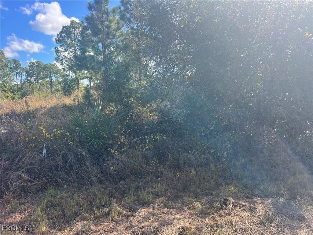 2904 Ida Avenue N, Lehigh Acres, FL 33971 photo 4