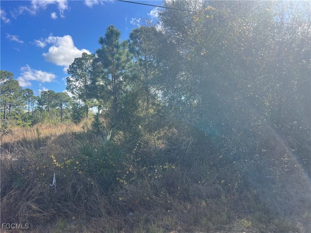 2904 Ida Avenue N, Lehigh Acres, FL 33971 photo 5