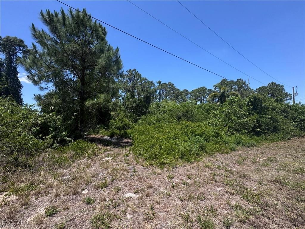 56 Wanda Avenue S, Lehigh Acres, FL 33976 photo 5