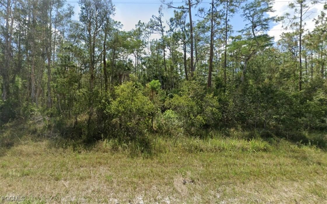 1911 Weller Avenue, Lehigh Acres, FL 33972 photo 3