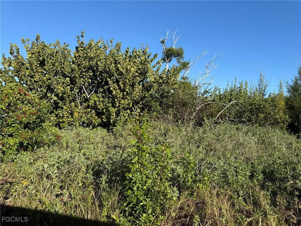 161 Swallow Drive, Captiva, FL 33924 photo 2