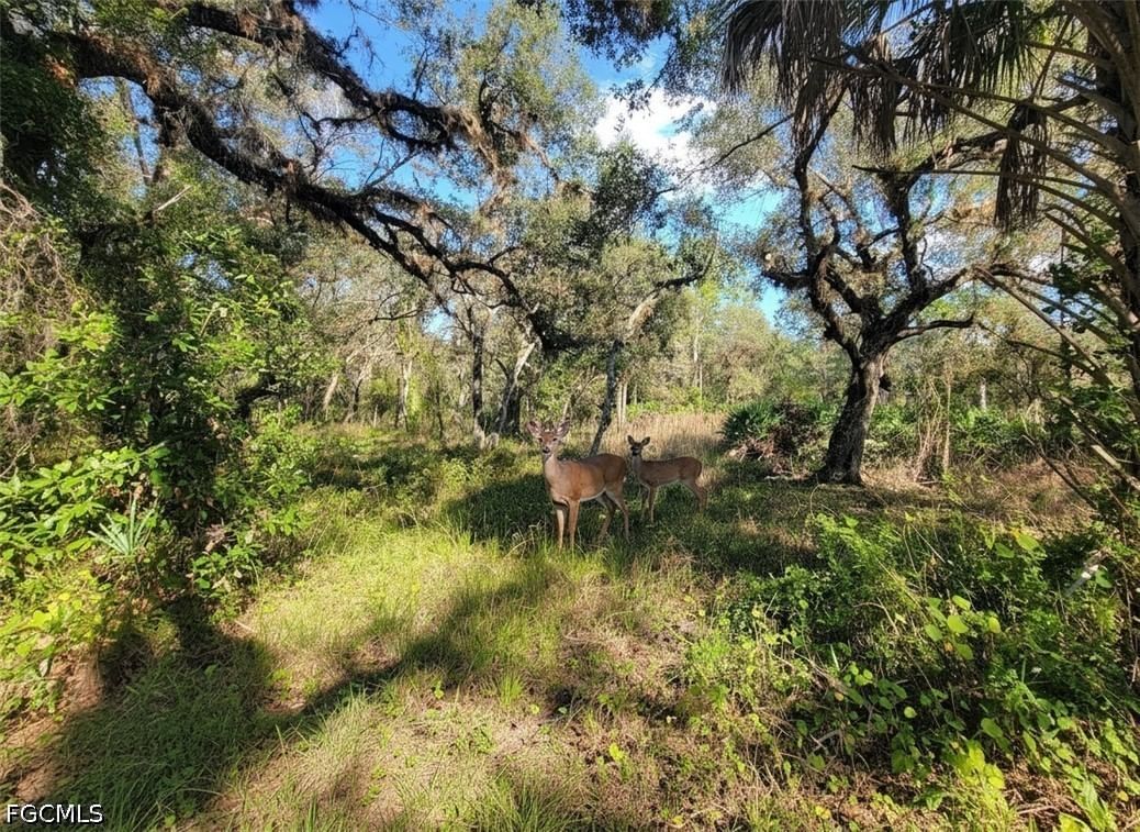 1 Catamount Road, Labelle, FL 33975 photo 4