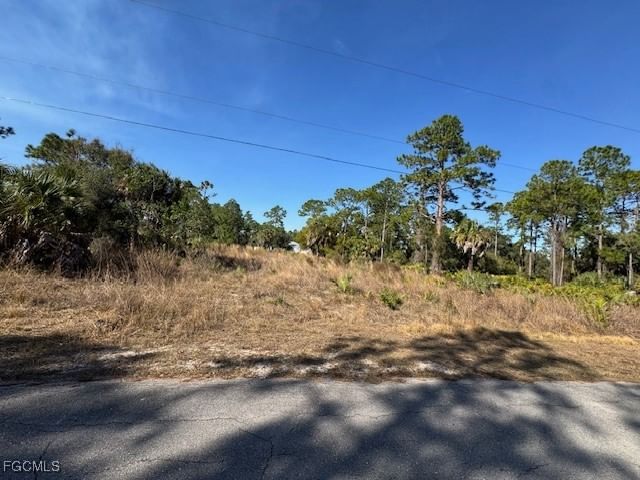 2117 Moore Avenue, Alva, FL 33920 photo 4