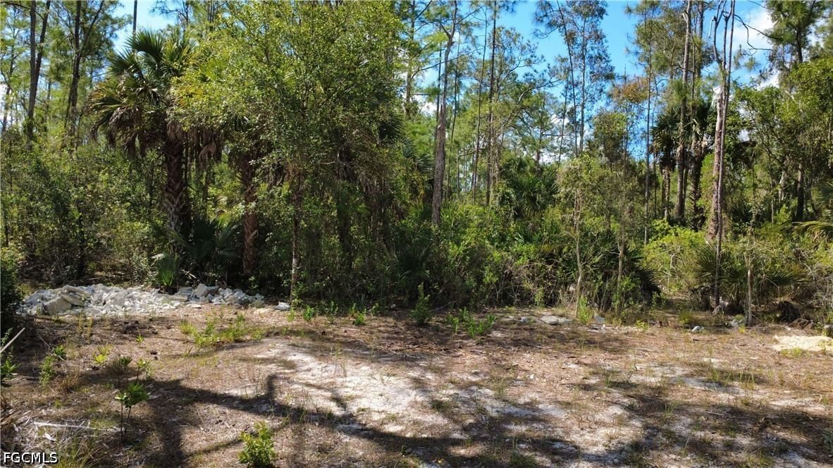 267 Woodburn Drive, Lehigh Acres, FL 33972 photo 2