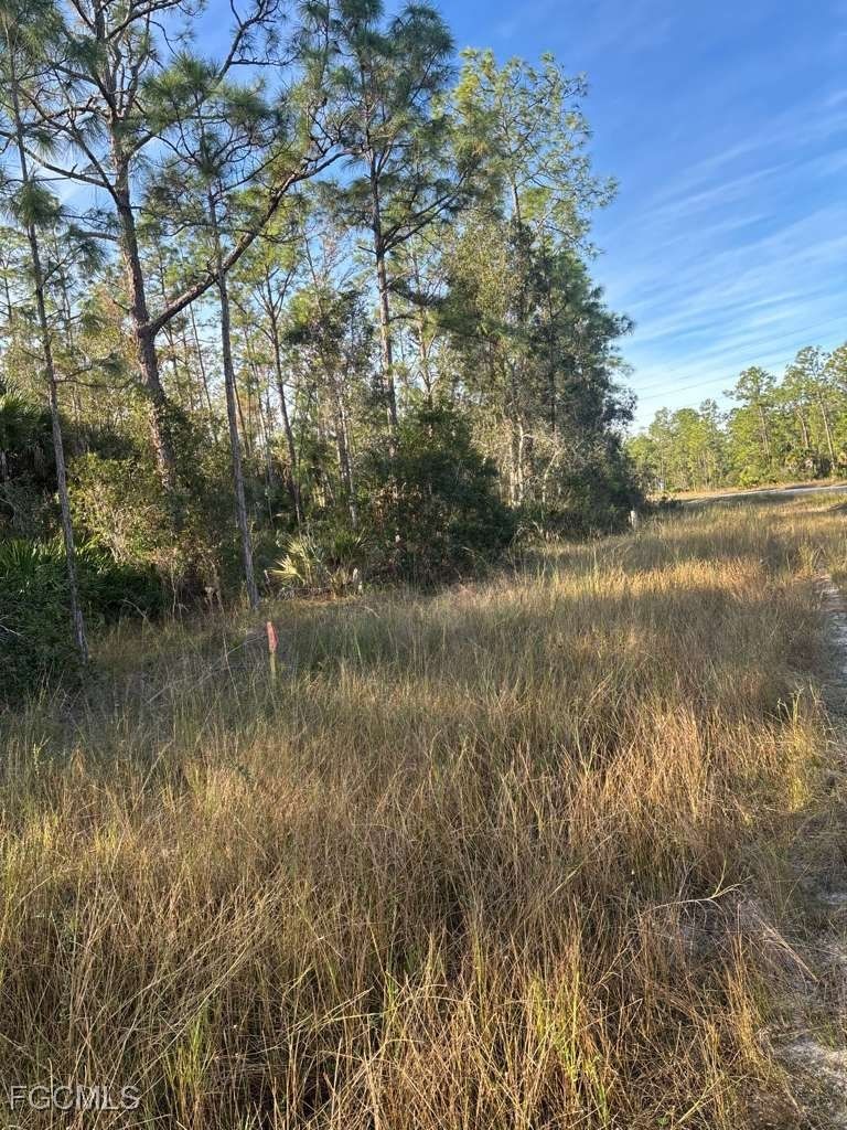 267 Woodburn Drive, Lehigh Acres, FL 33972 photo 5