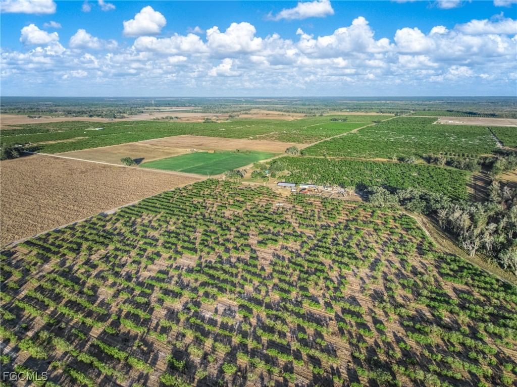 REST HAVEN Road, Zolfo Springs, FL 33890 photo 3