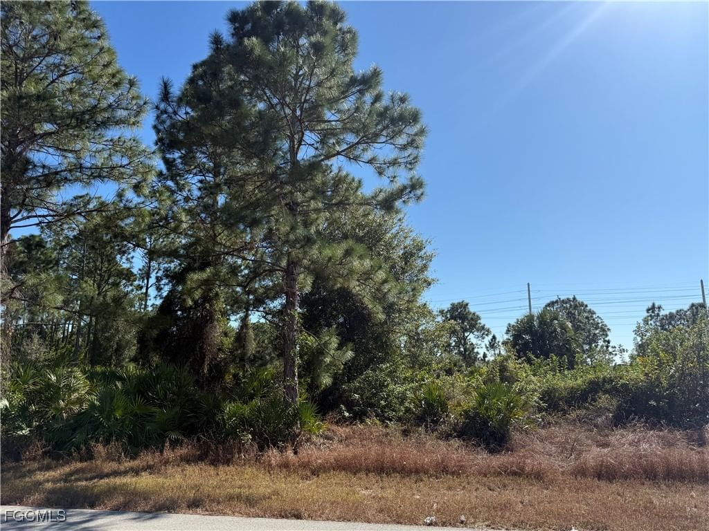 4303 33rd Street SW, Lehigh Acres, FL 33976 photo 3