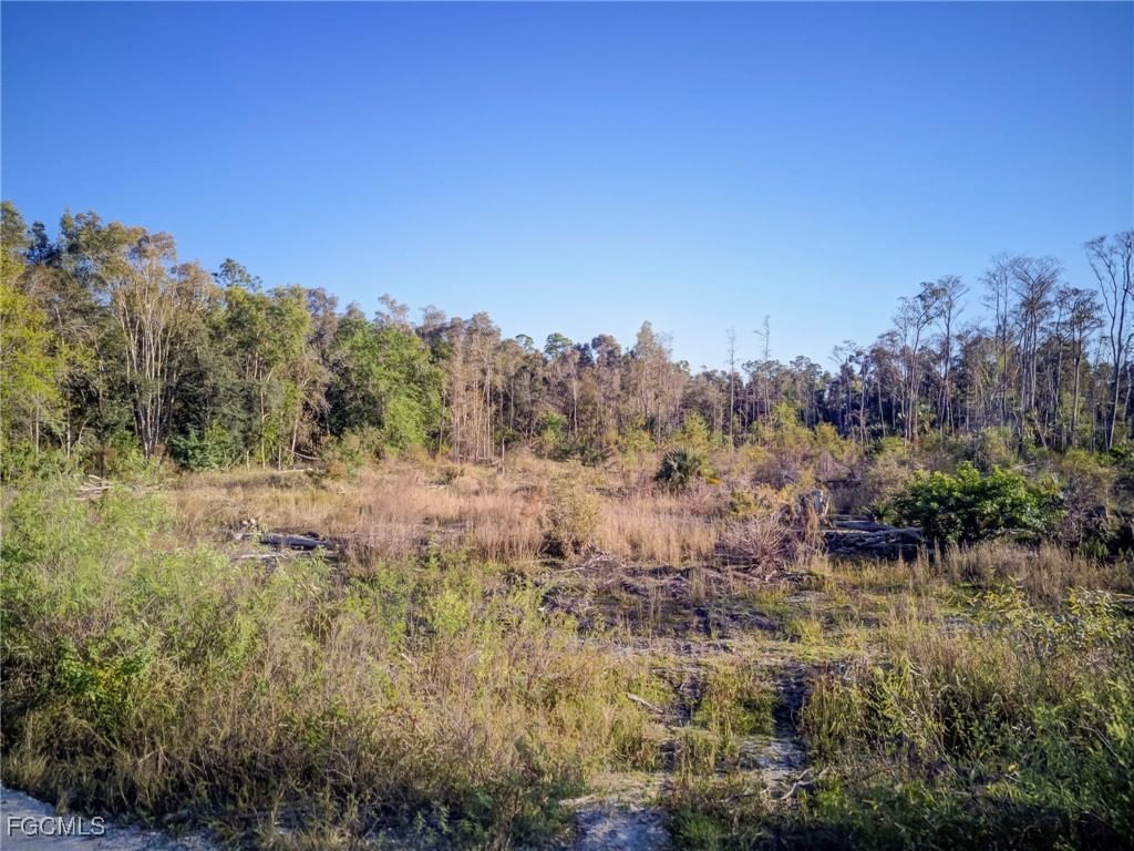 17380 Richard Road, Fort Myers, FL 33913 photo 5