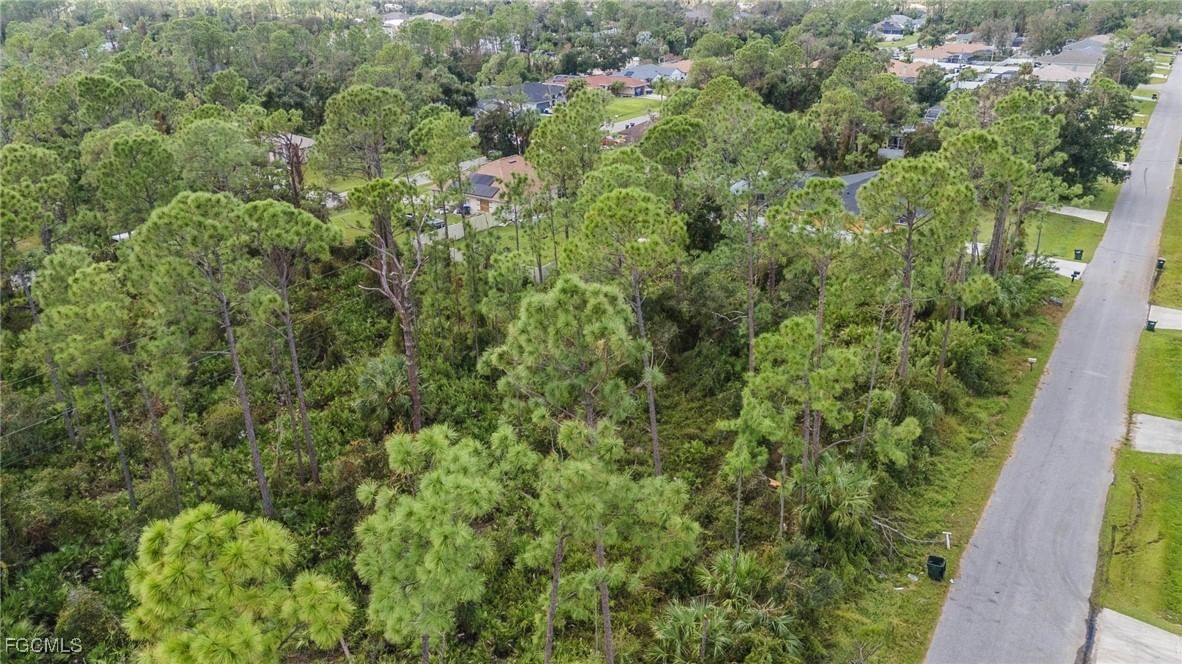 Sunburst Avenue, North Port, FL 34286 photo 4