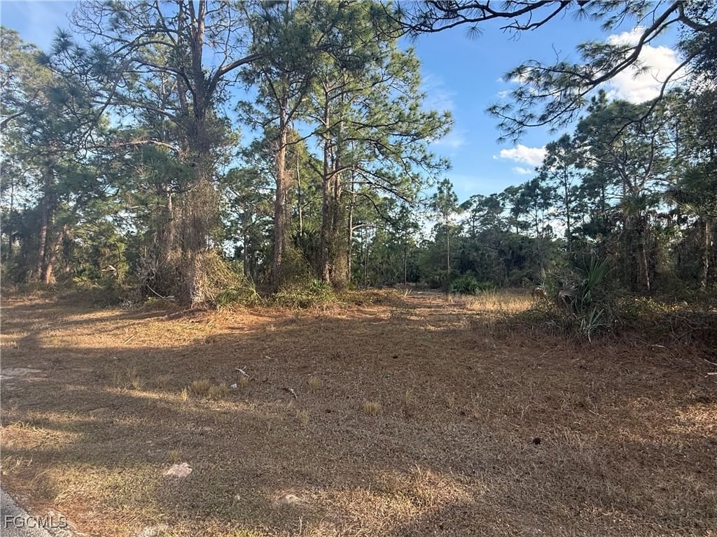 5010 Squaw Lane, Labelle, FL 33935 photo 3