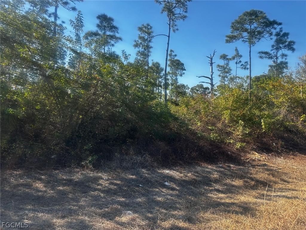 511 Penton Avenue S, Lehigh Acres, FL 33974 photo 2