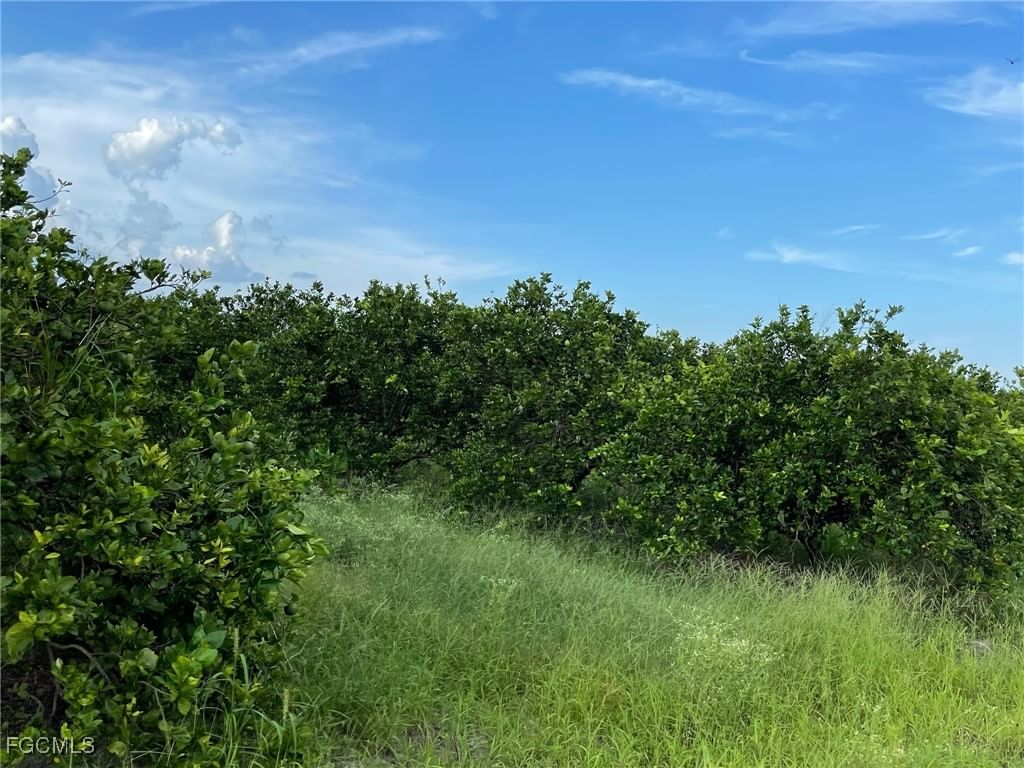 6380 + 6340 6th Road, Labelle, FL 33935 photo 2