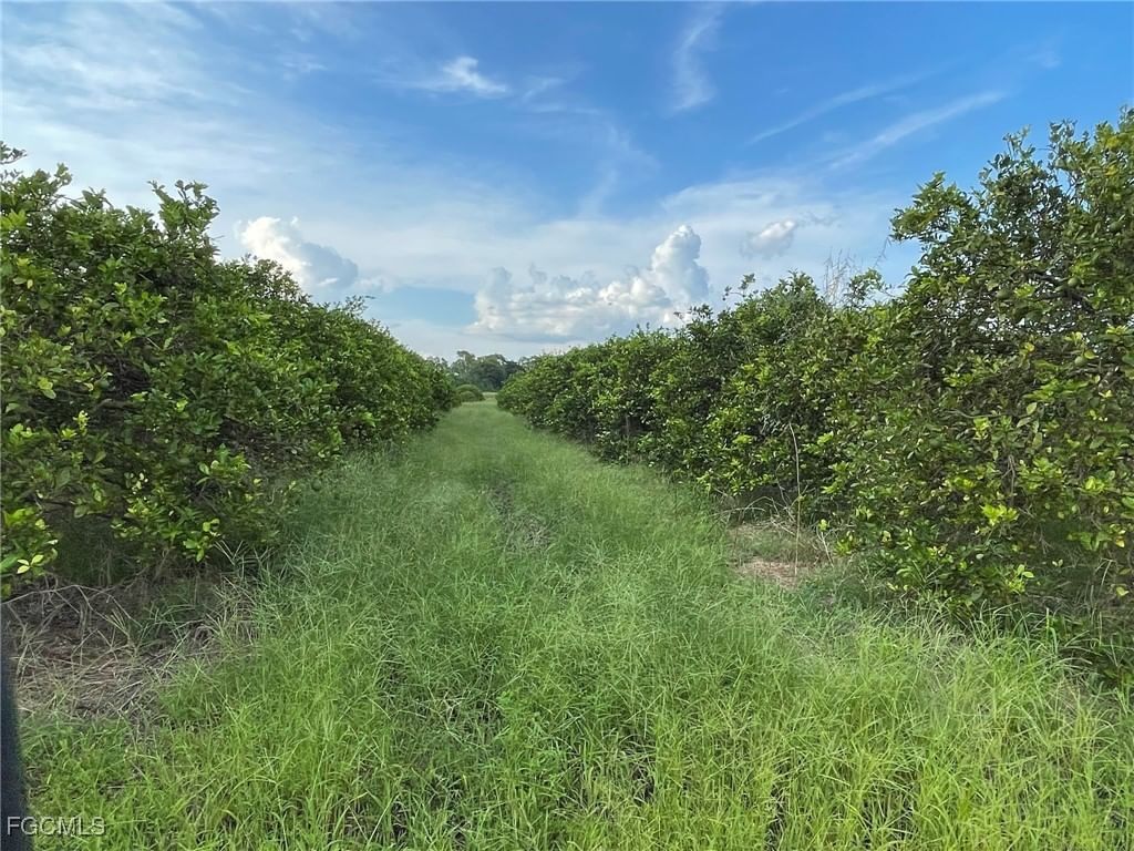6380 + 6340 6th Road, Labelle, FL 33935 photo 3