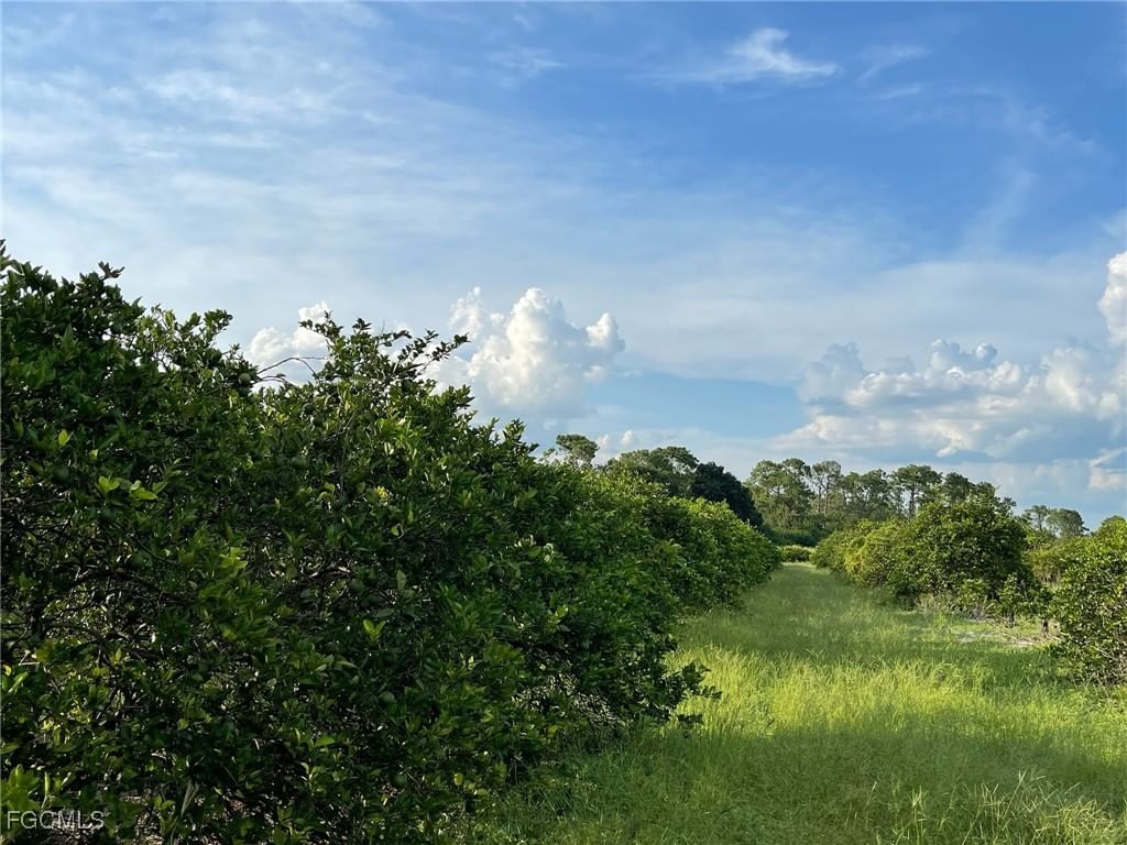 6380 + 6340 6th Road, Labelle, FL 33935 photo 4