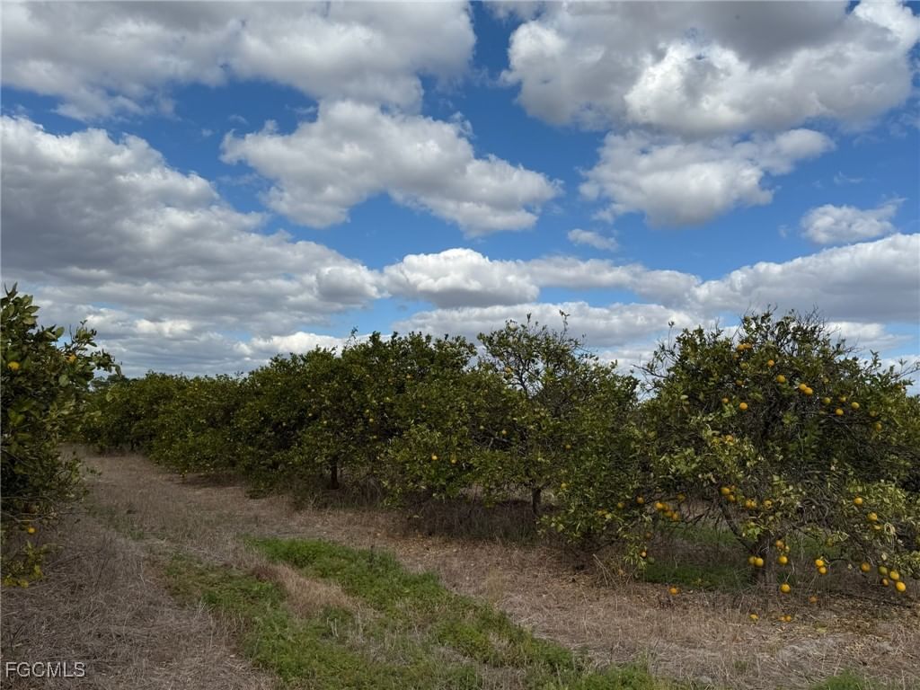 6380 + 6340 6th Road, Labelle, FL 33935 photo 5