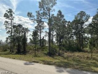 728-730 Eisenhower Boulevard, Lehigh Acres, FL 33974 photo 2