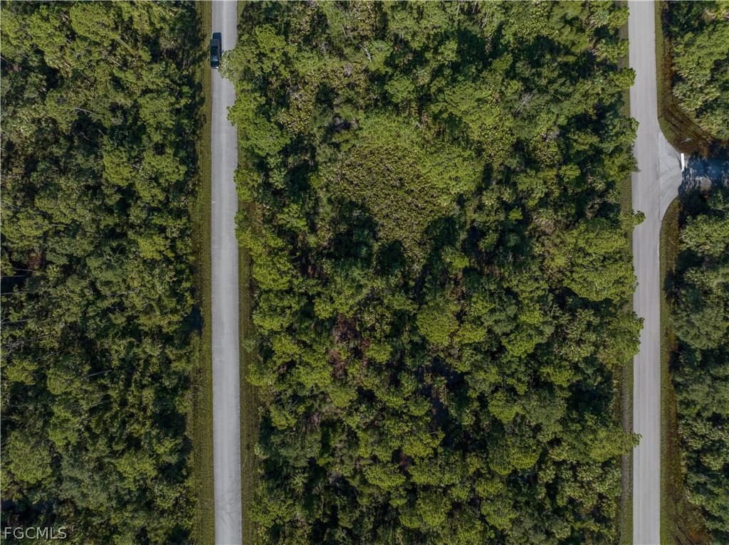 14142 Dunlap Avenue, Port Charlotte, FL 33953 photo 4