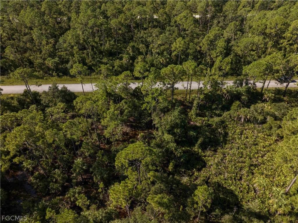 14142 Dunlap Avenue, Port Charlotte, FL 33953 photo 5