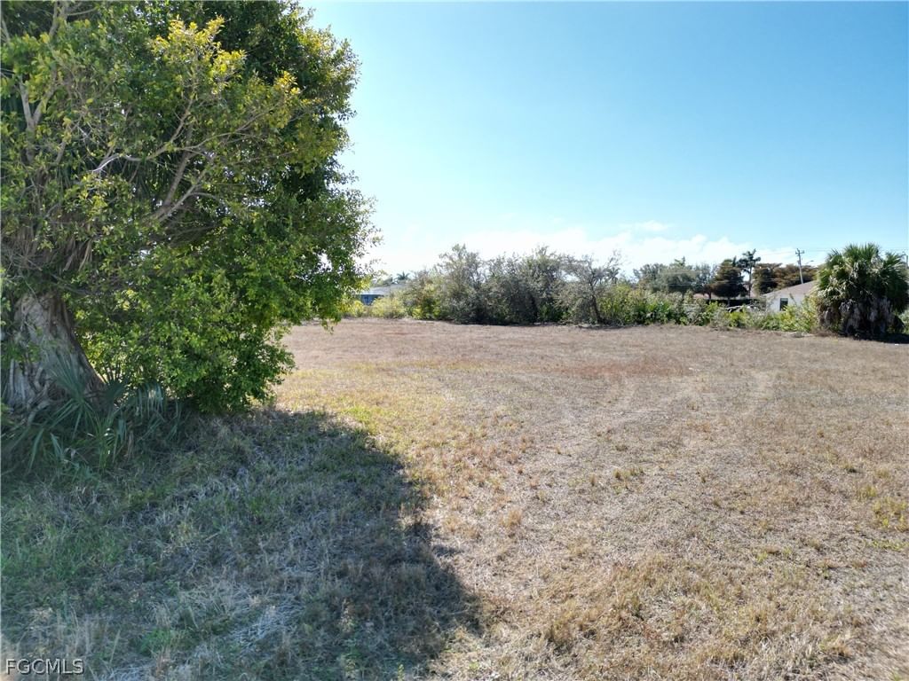 1616 SW 23rd Court, Cape Coral, FL 33991 photo 2