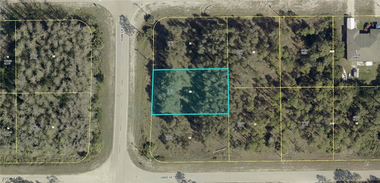 1005/1007 Homestead Road S, Lehigh Acres, FL 33974 photo 5