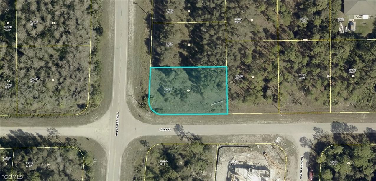 1009/1011 Homestead Road S, Lehigh Acres, FL 33974 photo 5