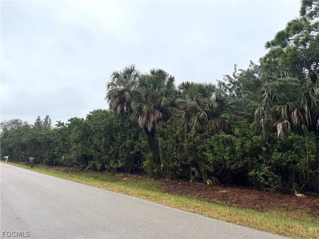 3311 Amanda Street, Punta Gorda, FL 33950 photo 4