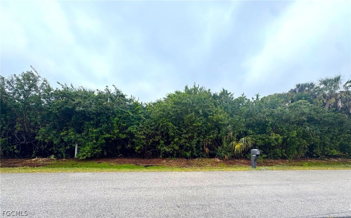 3331 Amanda Street, Punta Gorda, FL 33950 photo 2