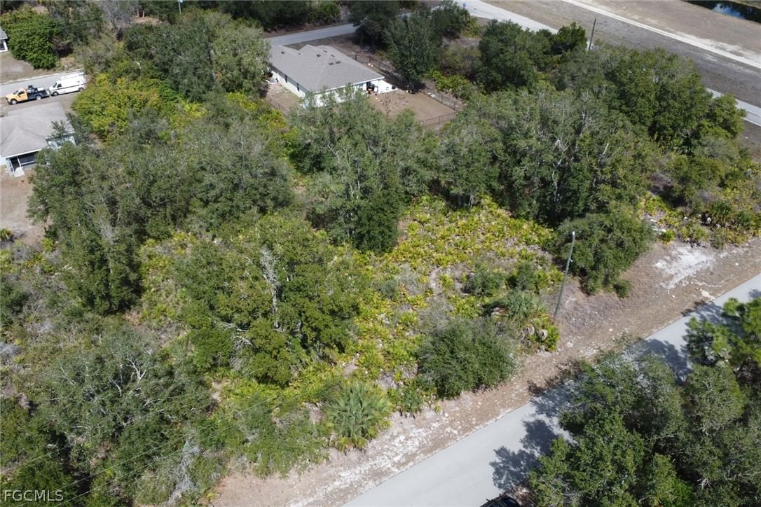 2504 65th Street W, Lehigh Acres, FL 33971 photo 3