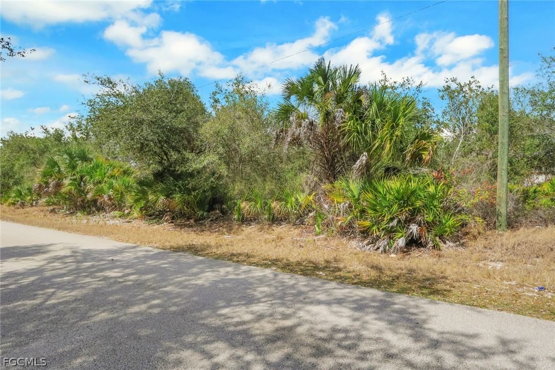 2504 65th Street W, Lehigh Acres, FL 33971 photo 4