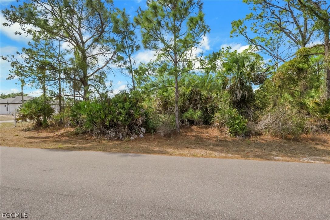 4601 Laura Avenue N, Lehigh Acres, FL 33971 photo 3