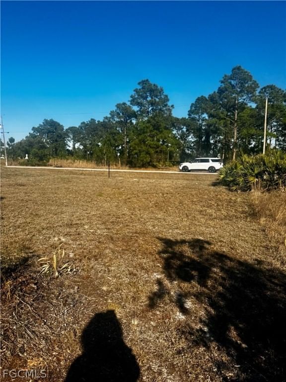 724 Randall Avenue E, Lehigh Acres, FL 33974 photo 3
