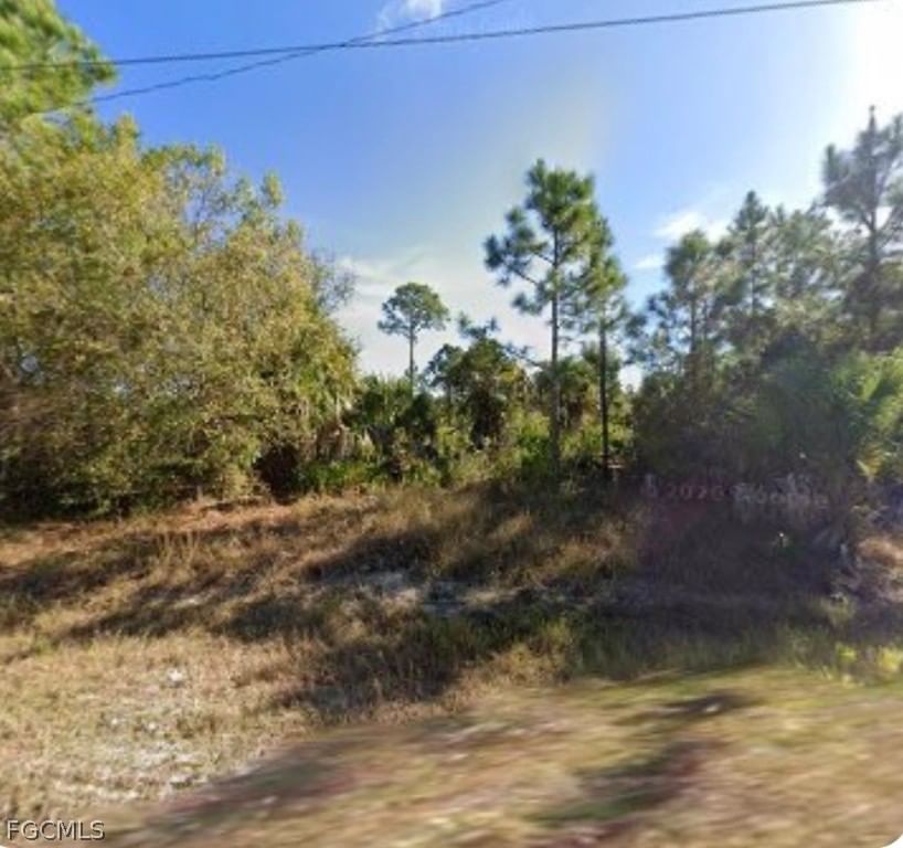 6010 Vera Avenue N, Lehigh Acres, FL 33971 photo 2
