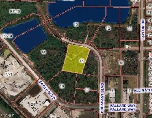 10271 Pheasant Boulevard, Punta Gorda, FL 33950 photo 2