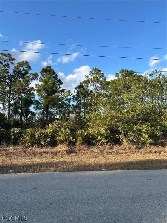 927 Sterling Street E, Lehigh Acres, FL 33974 photo 2