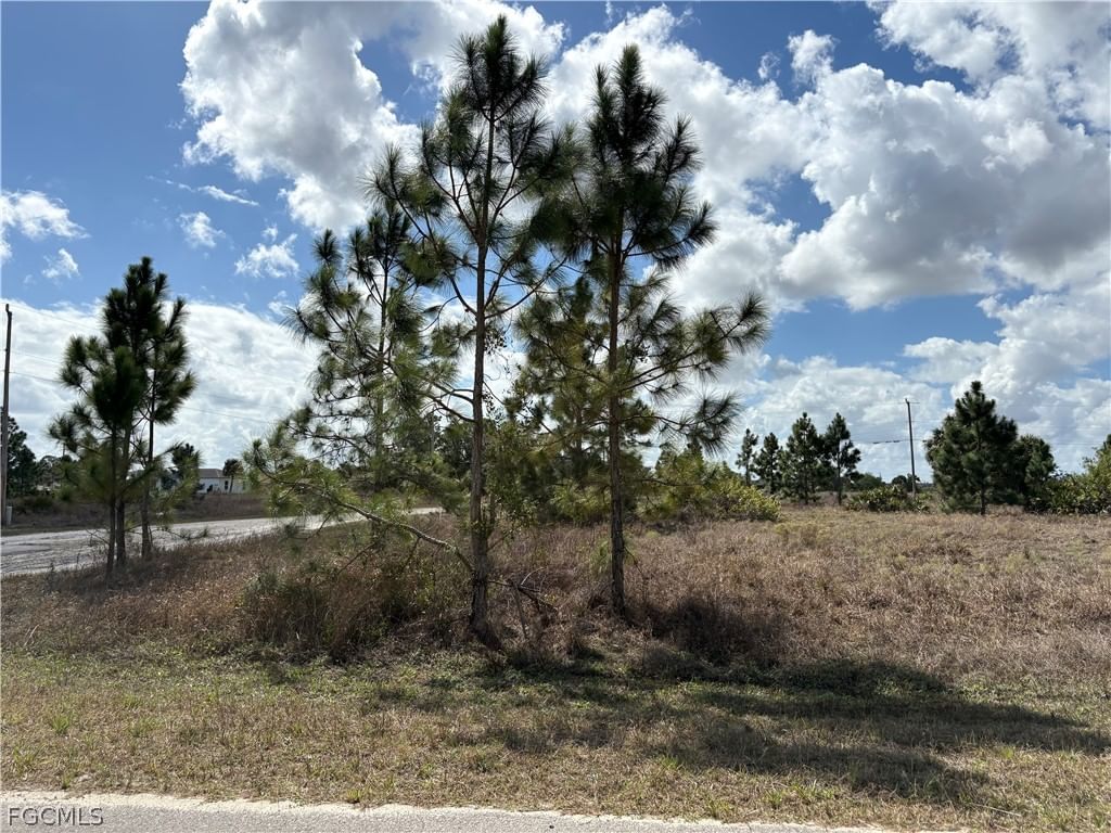 1000 Gleason Street, Lehigh Acres, FL 33974 photo 3