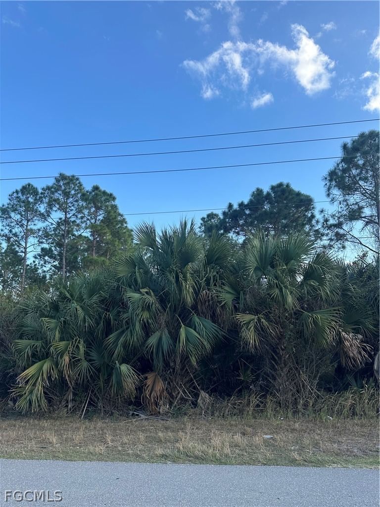 665 Woodcrest Drive, Lehigh Acres, FL 33972 photo 2