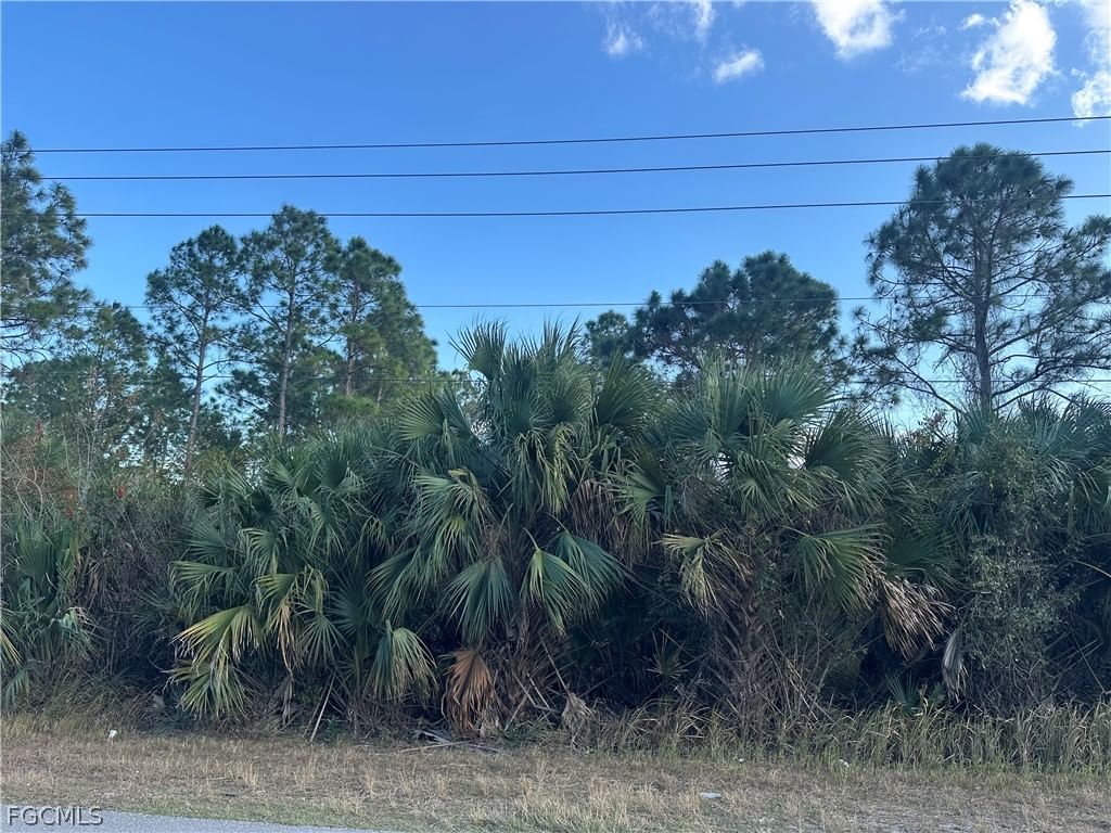 665 Woodcrest Drive, Lehigh Acres, FL 33972 photo 3